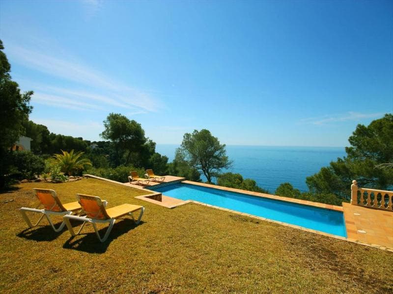Flora
