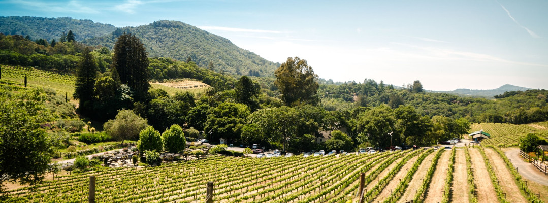 The best wine regions